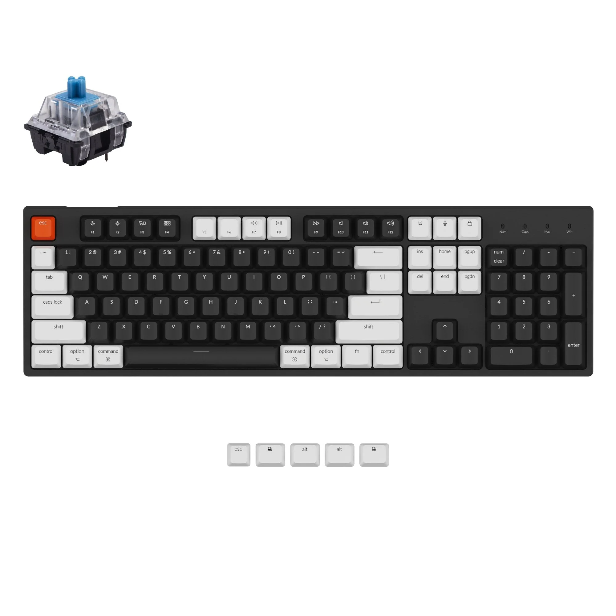 Keychron C2 Wired Mechanical Keyboard (US ANSI Layout) - Image 4