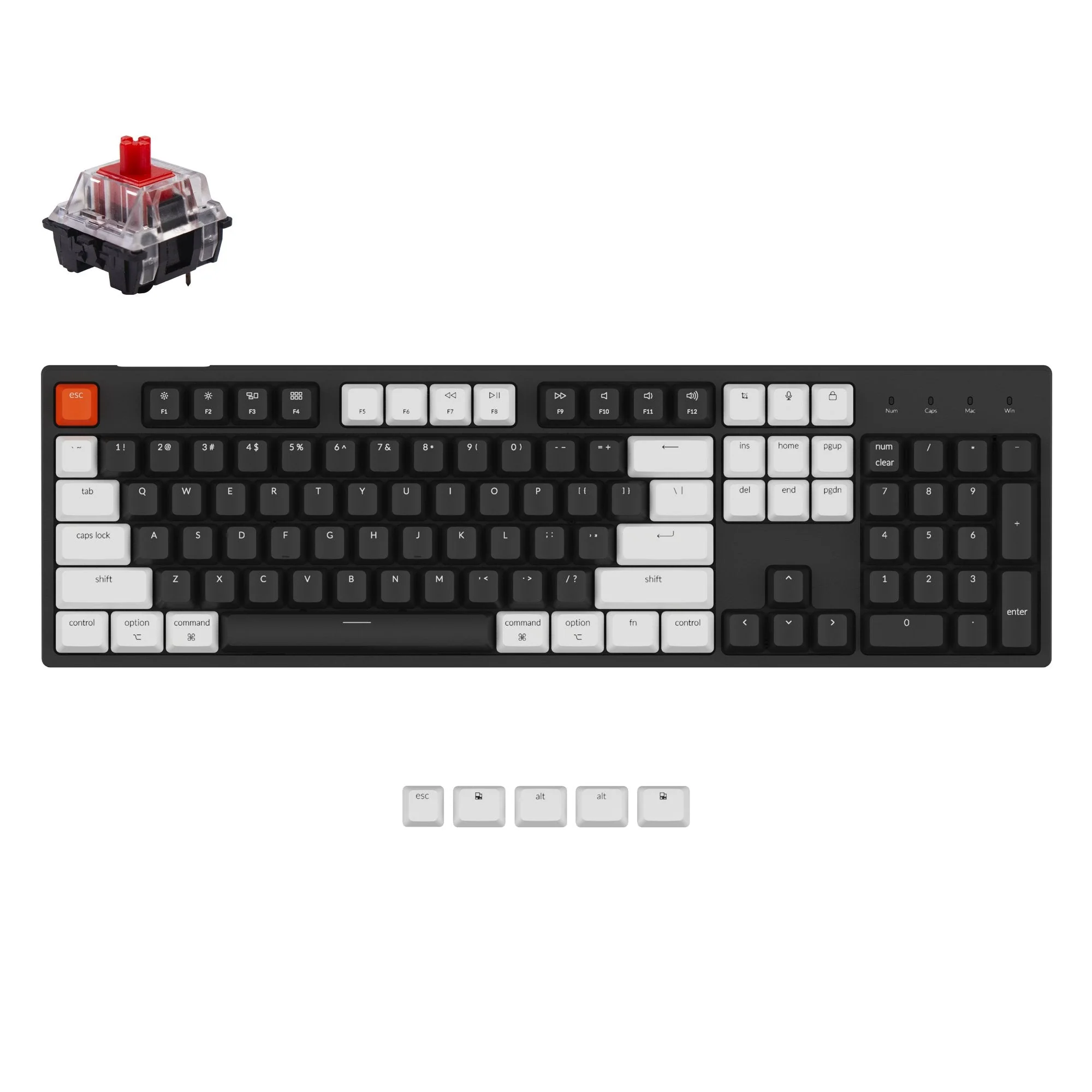 Keychron C2 Wired Mechanical Keyboard (US ANSI Layout) - Image 5