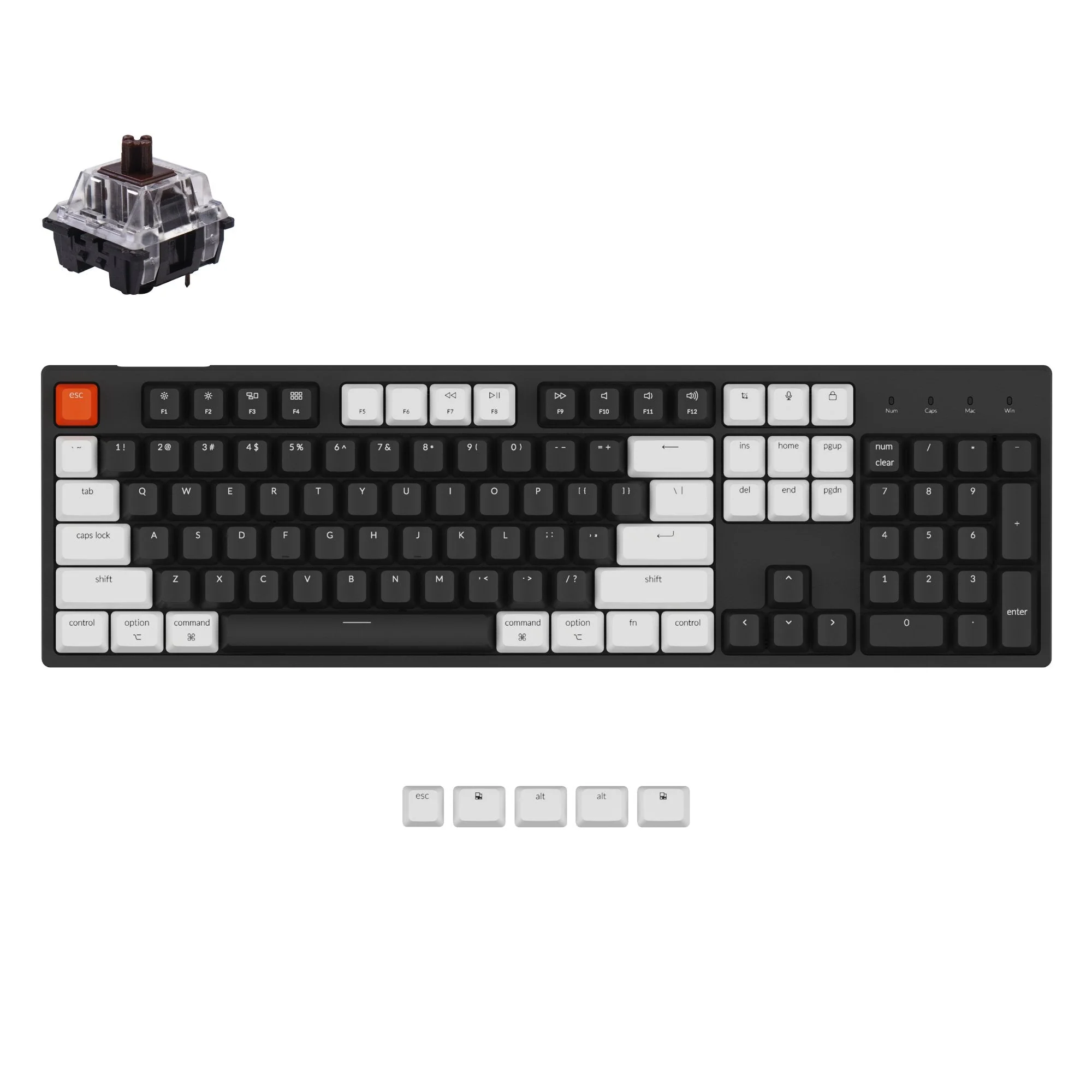 Keychron C2 Wired Mechanical Keyboard (US ANSI Layout) - Image 6