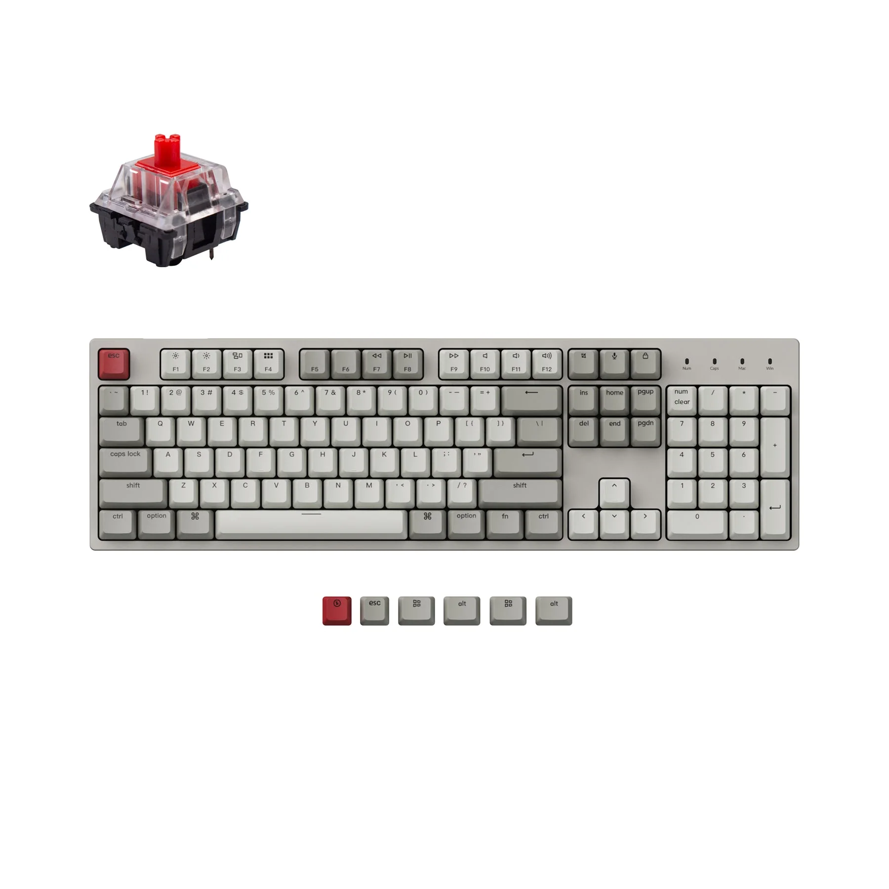 Keychron C2 Wired Mechanical Keyboard (US ANSI Layout) - Image 7
