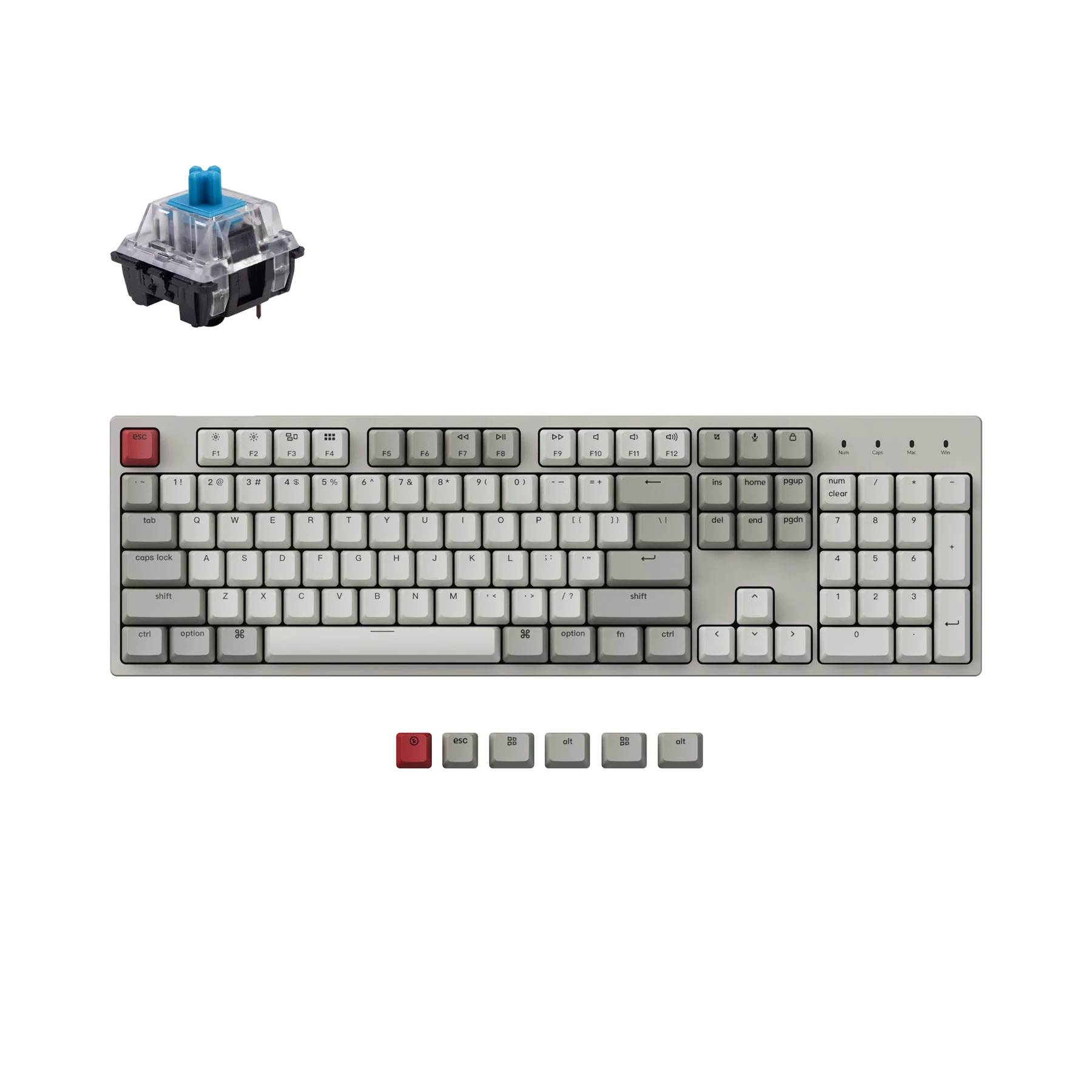 Keychron C2 Wired Mechanical Keyboard (US ANSI Layout) - Image 8