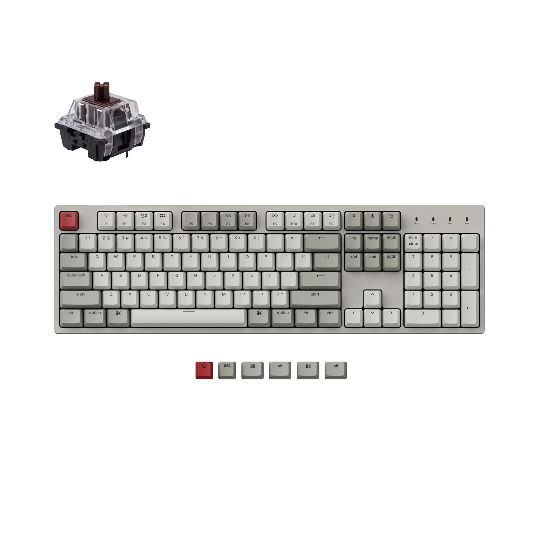 Keychron C2 Wired Mechanical Keyboard (US ANSI Layout) - Image 9