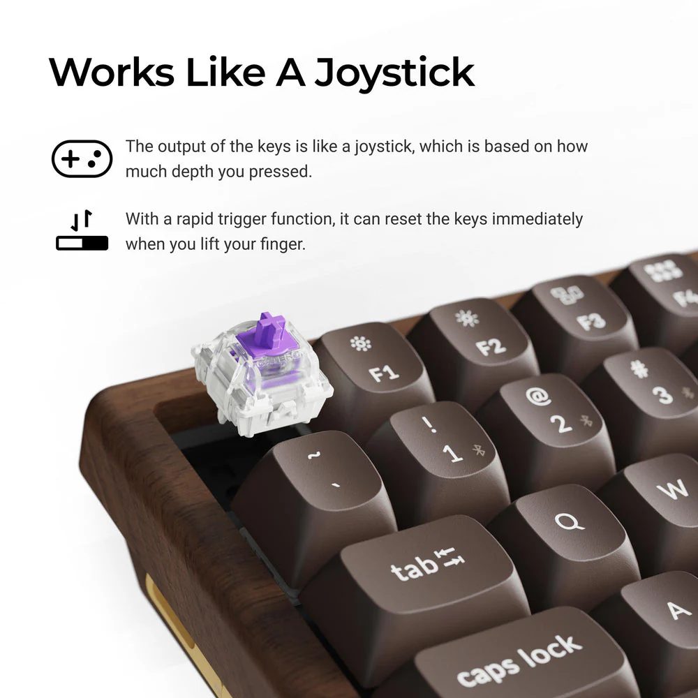Keychron K2 HE Wireless Magnetic Switch Custom Keyboard-All-Wood Special Edition - Image 4